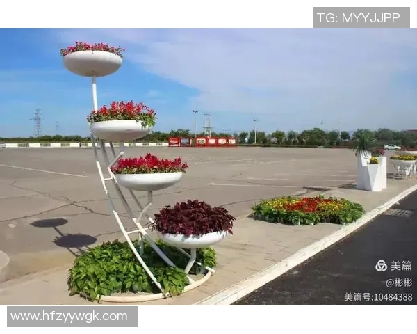 足球花篮的魅力与文化传承探讨以及对未来发展的展望