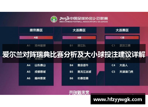 爱尔兰对阵瑞典比赛分析及大小球投注建议详解